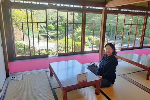 Tokyo: Ginza to Shibamata Walking Tour with Guide