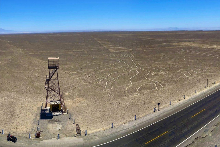 From Ica: Nazca Lines Flight with transfer from Ica Group From Nazca: Nazca Lines Flight from Nazca