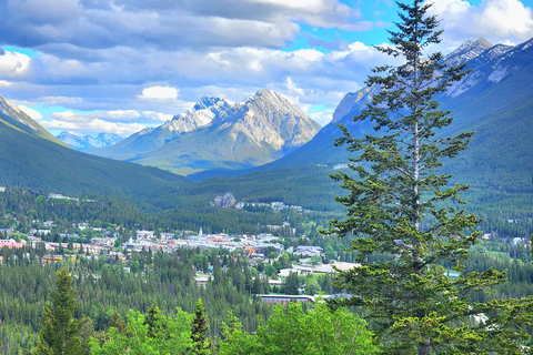 Excursão particular de 1 dia a Banff Lake Louise, Gôndola &amp; mais