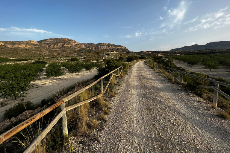 Alicante, Spain: Guided Gravel Ride - Via Verde 65Km