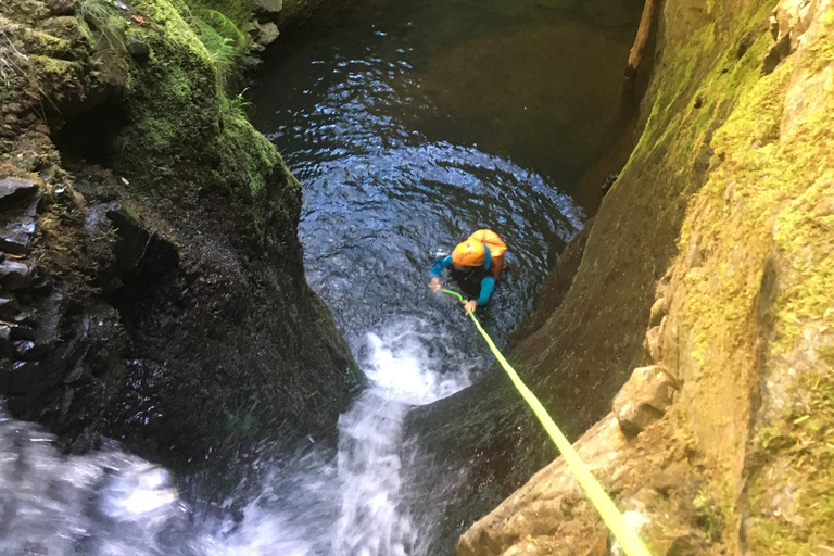 Madère : Expérience complète de canyoning