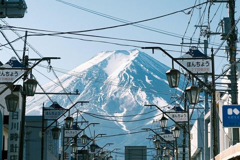 Tokyo: Mt. Fuji & Hakone Private Day Trip with Guide