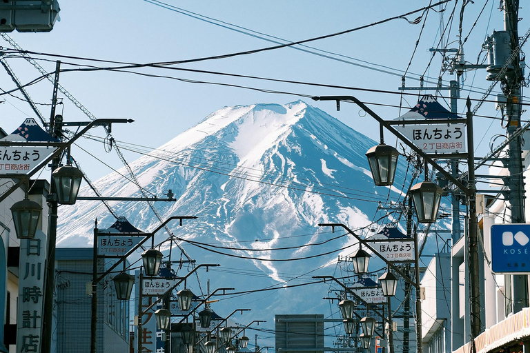 Tokyo: Mt. Fuji & Hakone Private Day Trip with Guide