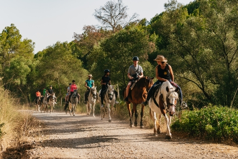 Mallorca: Mountain Horse Riding Experience met brunchoptiePaardrijtocht van 2 uur met ontmoetingspunt
