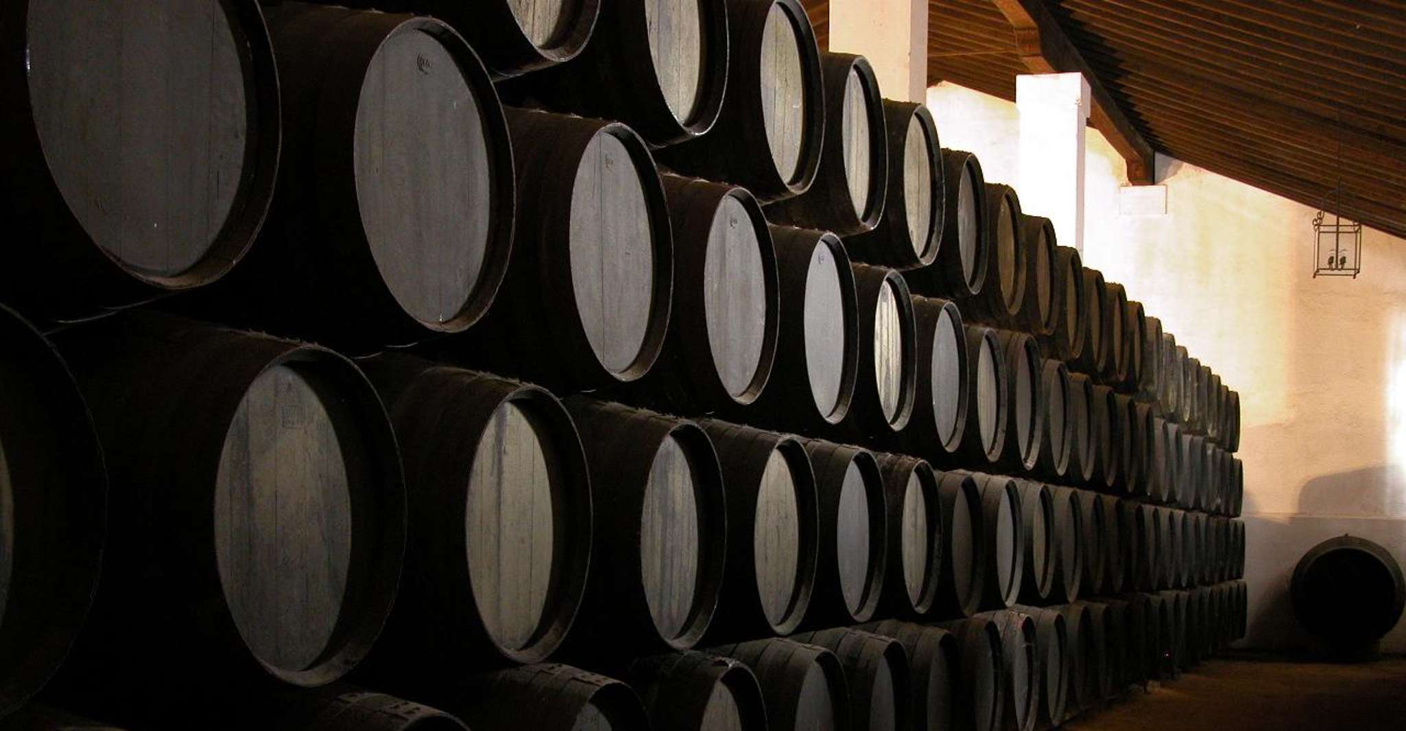 Jerez, Bodegas Álvaro Domecq Guided Tour with Wine Tasting - Housity