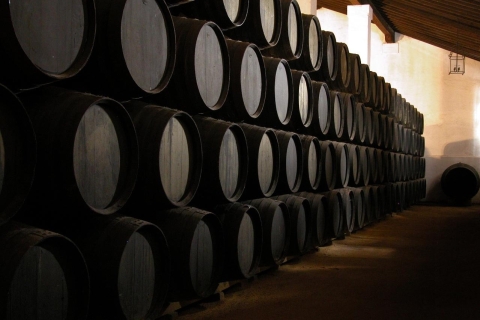 Jerez: Bodegas Álvaro Domecq Geführte Tour mit 4 Weinverkostungen
