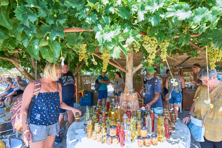 Private 4-5-Hour Tour and explore the hidden Gems of Rhodes Private 4-Hour Tour and explore the hidden Gems of Rhodes