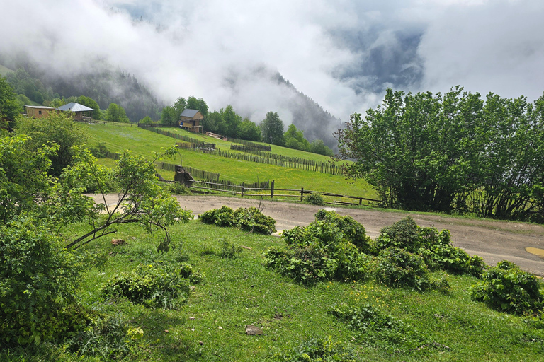 Tbilisi: 7-Day All-Inclusive Tour to Svaneti & Ushguli