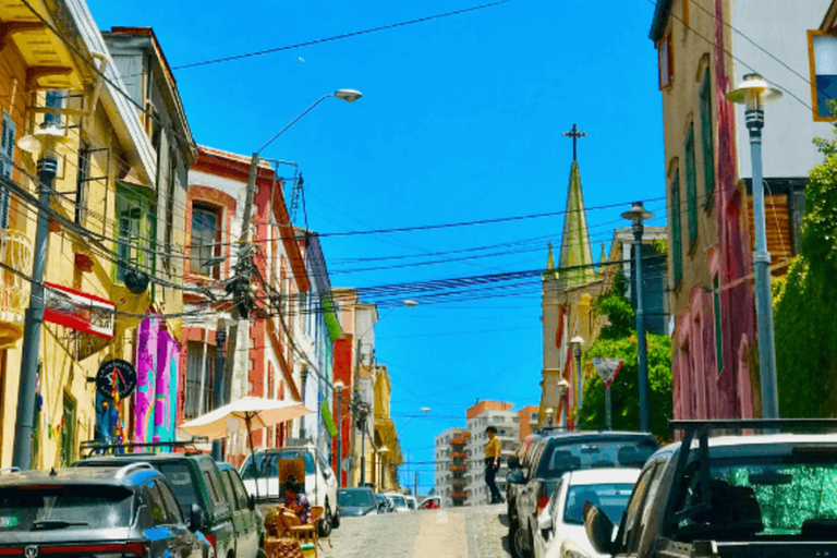 Santiago : Excursion d&#039;une journée à Valparaiso et Vina del Mar