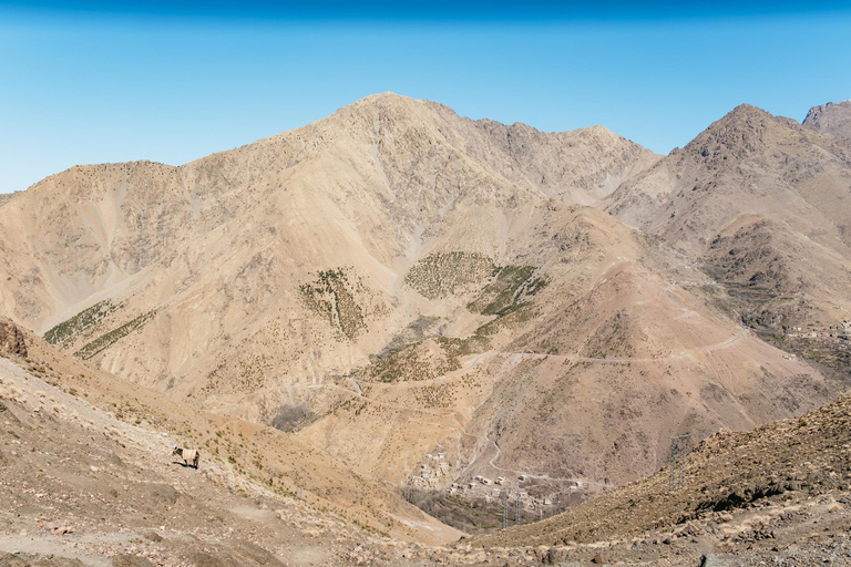 Ab Marrakesch: 2-tägige Wanderung im Atlasgebirge