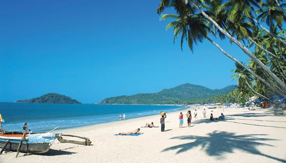 Visite guidée privée d'une jounée à Goa