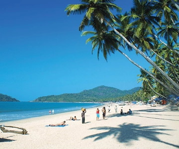 Full Day Private Guided Goa Tour