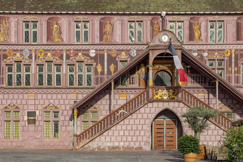 Mulhouse: Paseo exprés con un lugareño en 60 minutos120 min - Tour privado