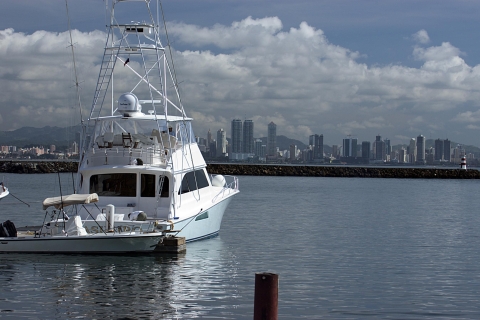 Privérondleiding door de grootste locaties van Panama-stadStandaard optie