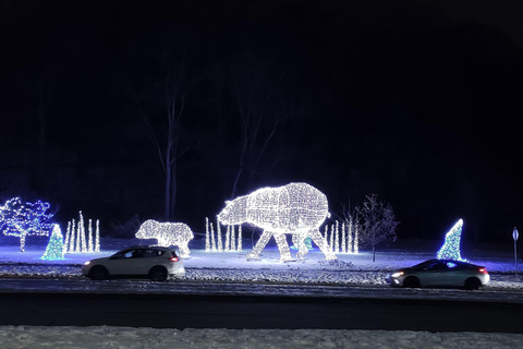 Toronto: Niagara Falls Private Custom Tour