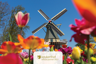 Amsterdam: tour guidato di Keukenhof, Zaanse Schans e Volendam