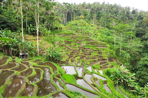 Bali Bathing Holy Spring Water or Purification