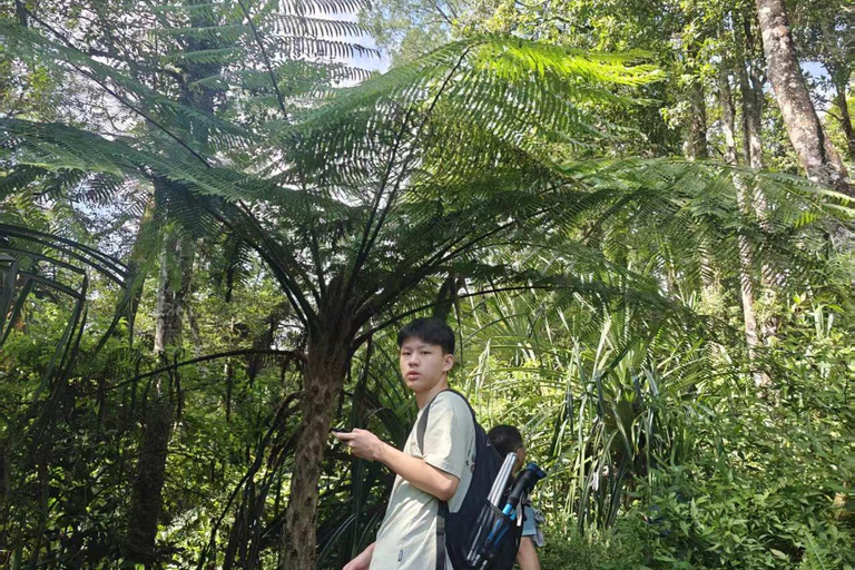 Mount Rinjani One Days trek via Senaru Crater rim