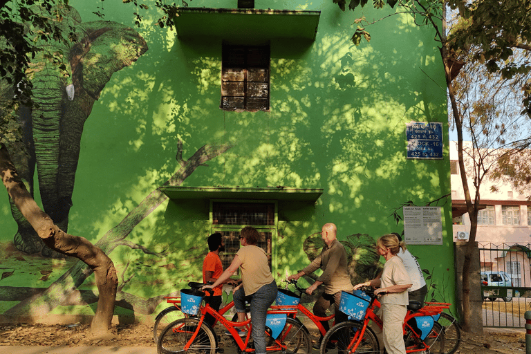 南德里遗产、艺术与花园自行车之旅私人导游服务