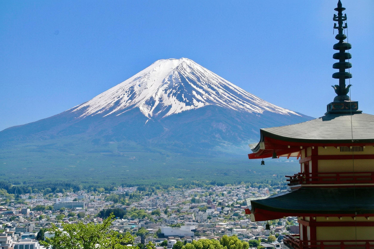 Tokyo: Mt Fuji & Oishi Park, Oshino Hakkai, Chureito Pagoda Free Karaage Chicken Set | Tokyo Station 8:00AM