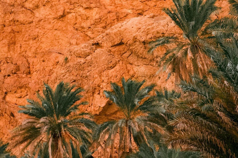 Au départ de Mascate : visite privée du Wadi Shab et du gouffre de BimmahVisite privée d'une jounée à Wadi Shab et Bimmah SinkHole Tour