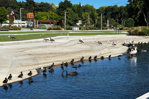 Från Auckland: Hell&#039;s Gate Mud Bath &amp; Rotorua Highlights Tour