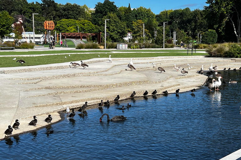 Da Auckland:Hell&#039;s Gate Mud Bath e Rotorua Highlights Tour