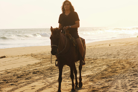 St Lucia: Private Sunset Beach Horse Ride + Pickup available