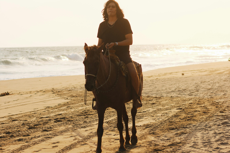 St Lucia: Private Sunset Beach Horse Ride + Pickup available