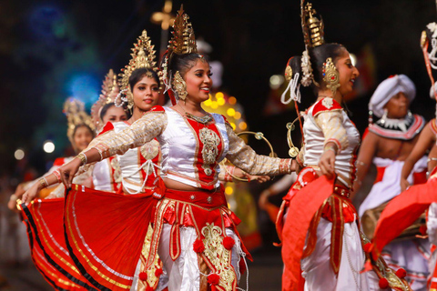 Kandy Esala Perahera Tour with Hotel Pickup From Colombo