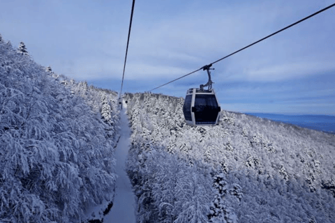 Istanbul: Bursa Day Trip with Lunch & Cable Car Ride Lunch and Cable Car extra
