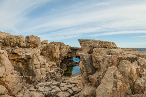 Dubrovnik: Old Town, Lokrum Island Tour with Tickets & Lunch Shared Old Town & Lokrum Tour with Lunch & Ferry Tickets