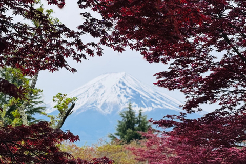 Tokyo: Private Daytrip to Mount Fuji - Fully Customizable Mt Fuji Private Luxury Van Tour (Customizable Experience)
