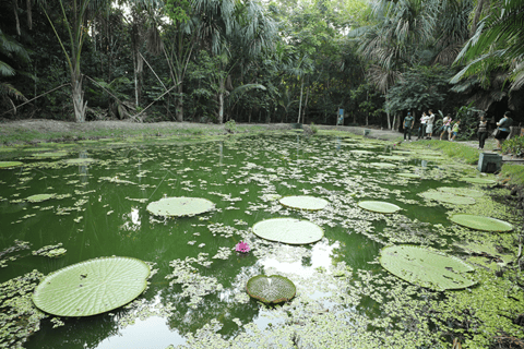 Prywatna wycieczka Musa Tour (ogród botaniczny)Wycieczka do Musa (ogród botaniczny Museu da Amazônia)