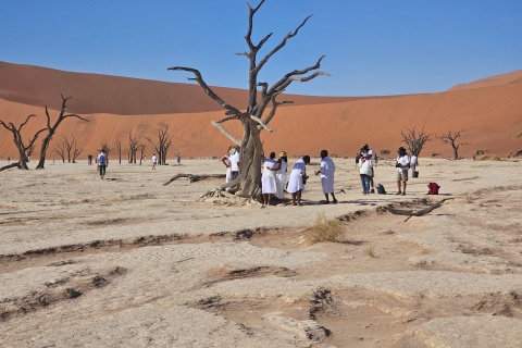 From Johannesburg : 6 Day Namibia Tour