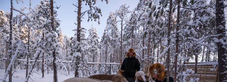 Ranua : entrée au Lupland Activity Park avec expérience avec les rennes