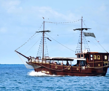 Vrsar: Dolphin Watching Boat Ride