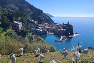 Lemon Tour with Limoncino and Wine Tasting in Vernazza (Cinque Terre)