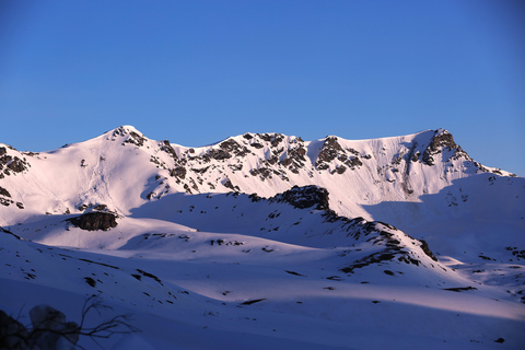Hatcher Pass: Heated & Enclosed ATV Tours - Open All Year!
