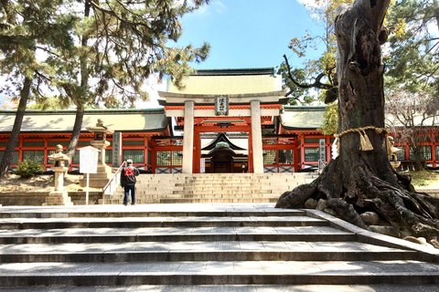 Osaka: En heldags Privat dagsutflykt med guidad stadsvandring i den historiska staden