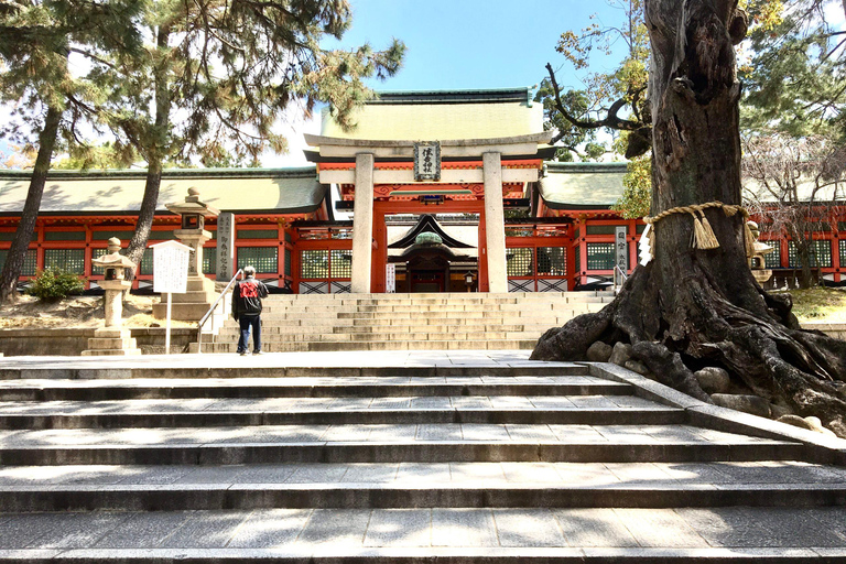 Osaka: En heldags Privat dagsutflykt med guidad stadsvandring i den historiska staden