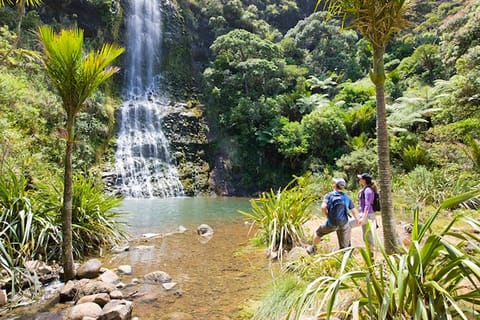 Auckland City & West Coast Luxury Tour