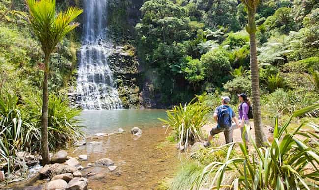 auckland city west coast luxury tour