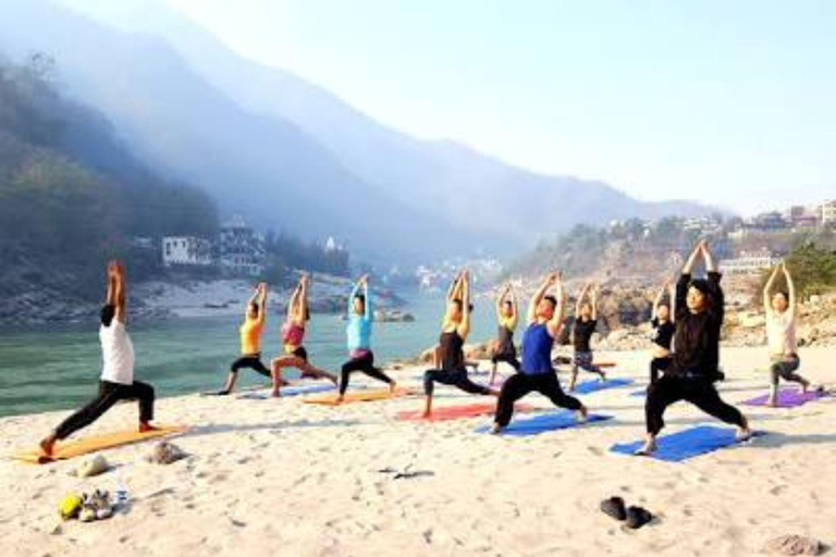 From Delhi: Same Day Haridwar Rishikesh Tour by Private Car.