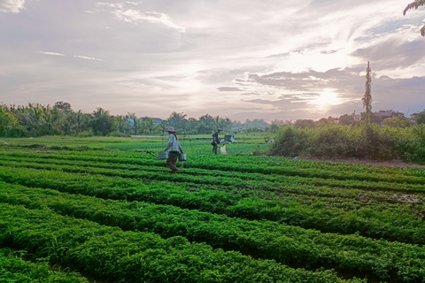 Countryside: Pepper Farm, Lake, Salt field Reflection Sunset