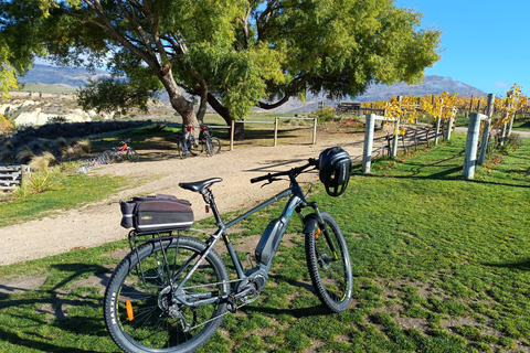 Lake Dunstan Trail - Bike/Ebike Hire &amp; Return Luxury ShuttleRegular Bike Hire &amp; Return Luxury Shuttle