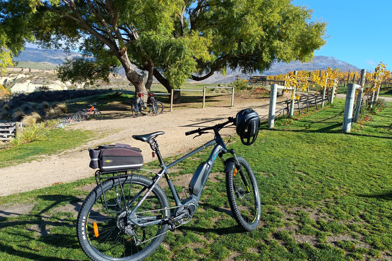 Lake Dunstan Trail - Bike/Ebike Hire &amp; Return Luxury ShuttleRegular Bike Hire &amp; Return Luxury Shuttle