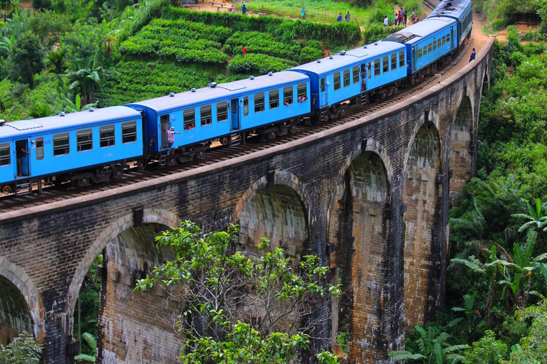 Sri Lanka Bergzug, Wasser-Rafting, Dschungel-Safari