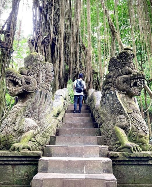 Apenbos Tirta Empul Rijstterras Waterval En Schommel Getyourguide