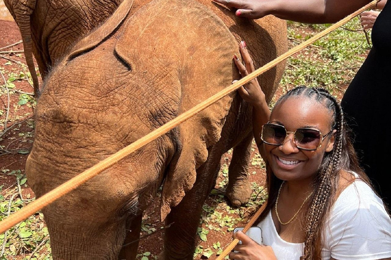 Visita de medio día al Centro de Jirafas y al Sheldrick Wildlife Trust